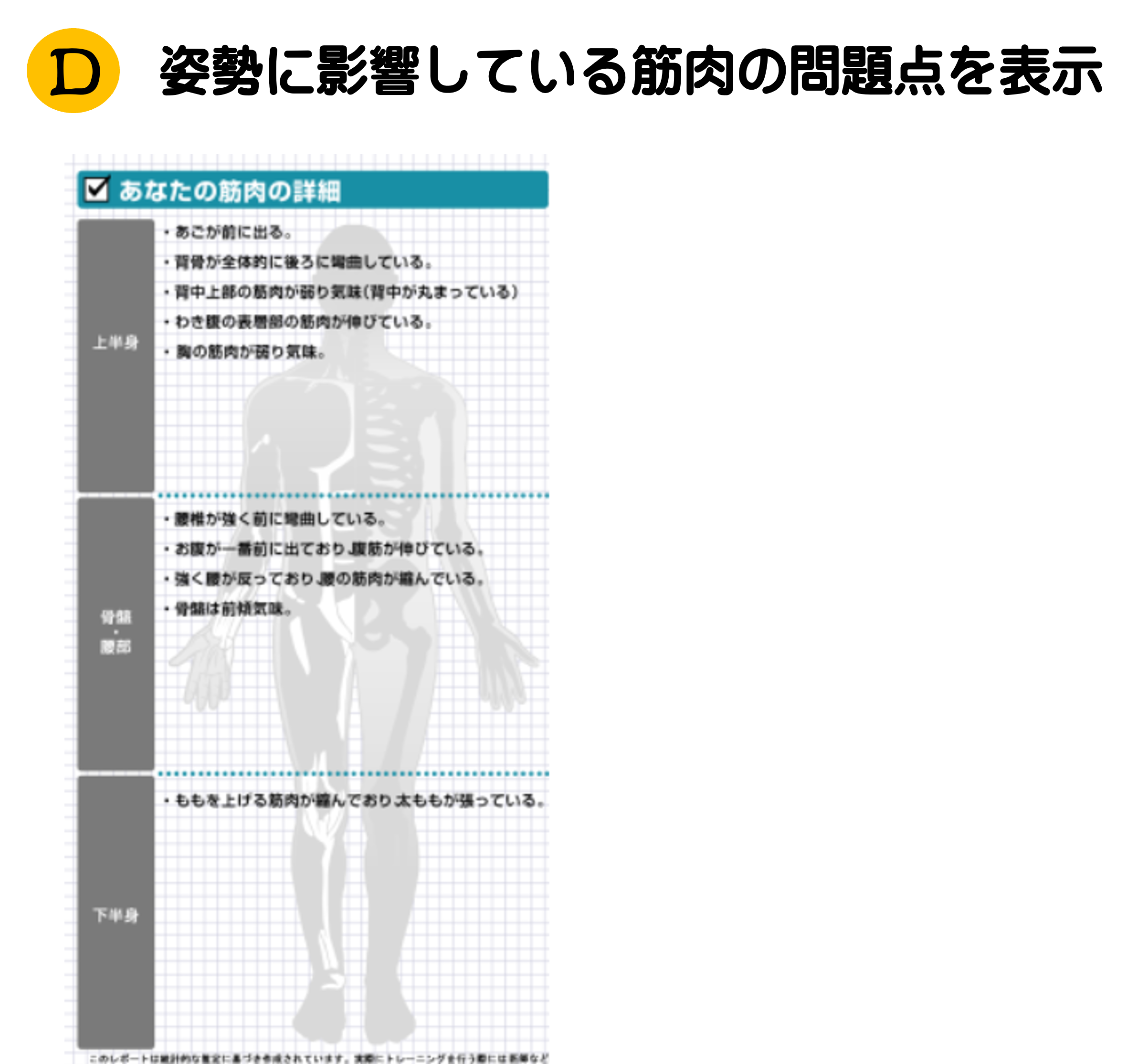 筋肉測定レポートD